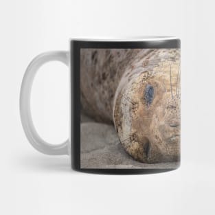 Northern Elephant Seal Mug